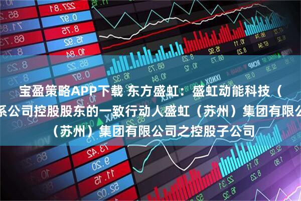 宝盈策略APP下载 东方盛虹：盛虹动能科技（泰州）有限公司系公司控股股东的一致行动人盛虹（苏州）集团有限公司之控股子公司