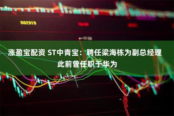 涨盈宝配资 ST中青宝：聘任梁海栋为副总经理  此前曾任职于华为