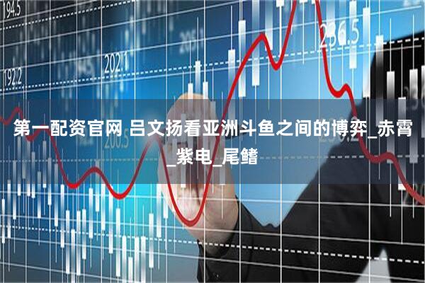 第一配资官网 吕文扬看亚洲斗鱼之间的博弈_赤霄_紫电_尾鳍