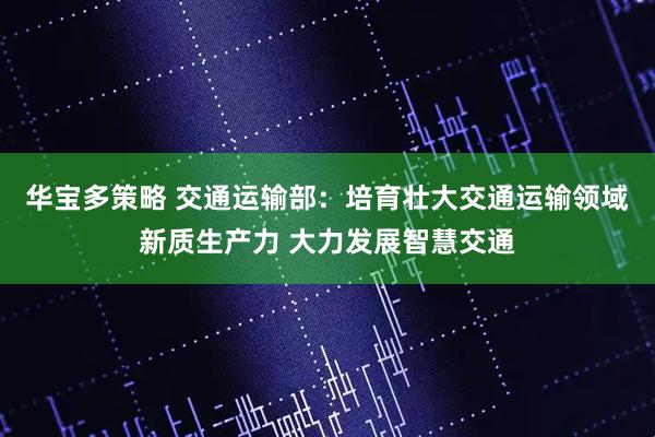 华宝多策略 交通运输部：培育壮大交通运输领域新质生产力 大力发展智慧交通