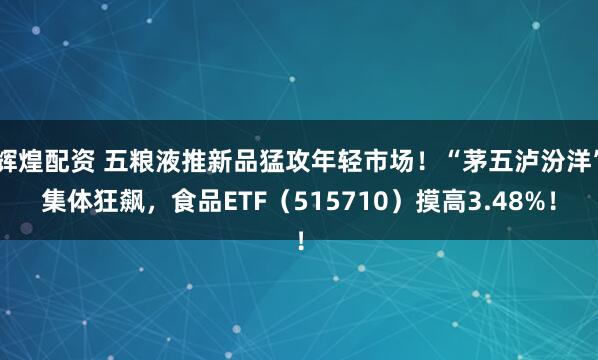 辉煌配资 五粮液推新品猛攻年轻市场！“茅五泸汾洋”集体狂飙，食品ETF（515710）摸高3.48%！