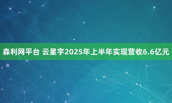 森利网平台 云星宇2025年上半年实现营收6.6亿元